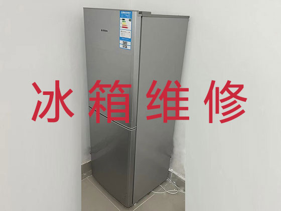 唐山专业冰箱安装